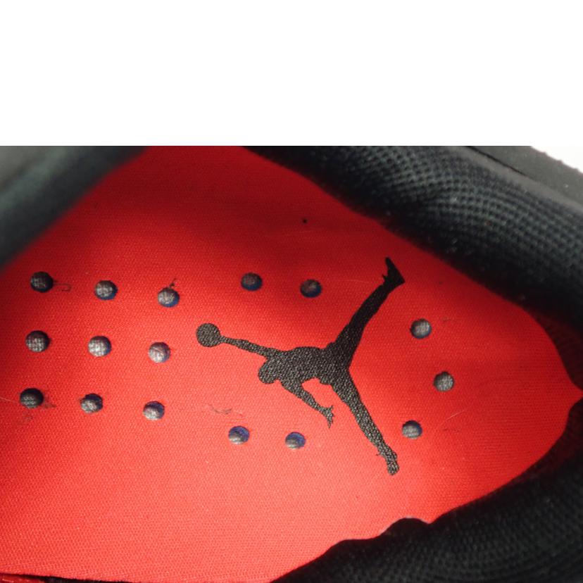 ＮＩＫＥ/ＮＩＫＥ　ＡＩＲ　ＪＯＲＤＡＮ/DH0832-660//SAランク/62