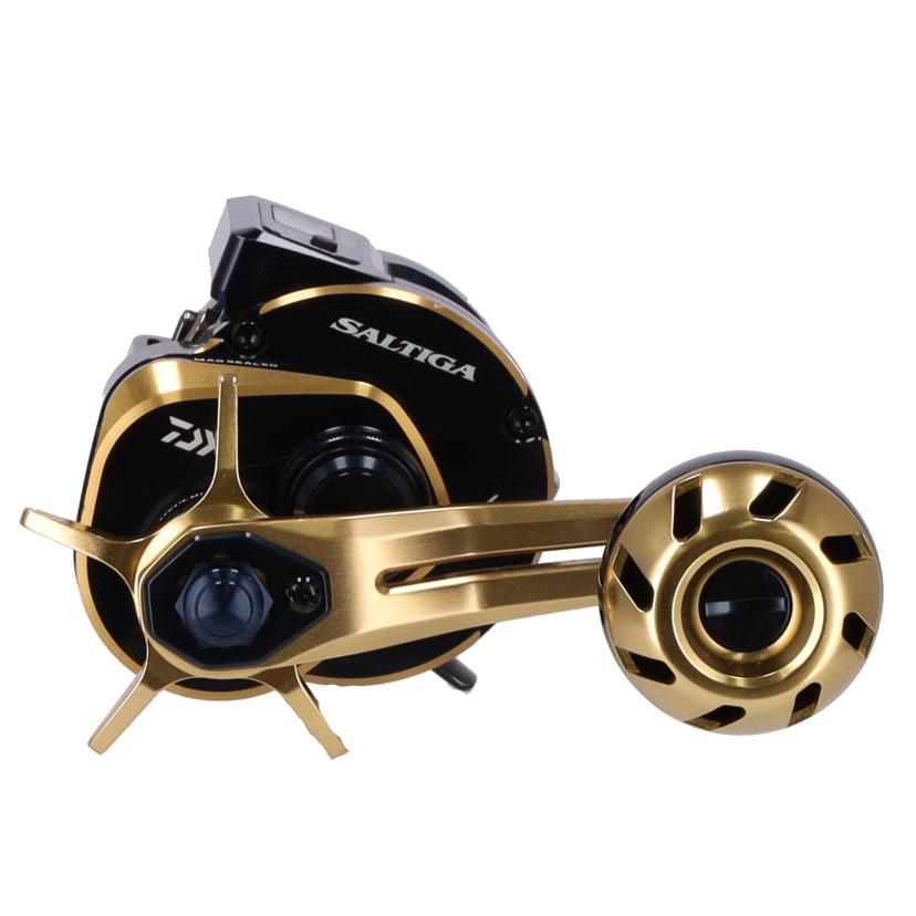 ＤＡＩＷＡ ダイワ/ＤＡＩＷＡ　２１ソルティガＩＣ１００Ｌ/IC100L//ABランク/75