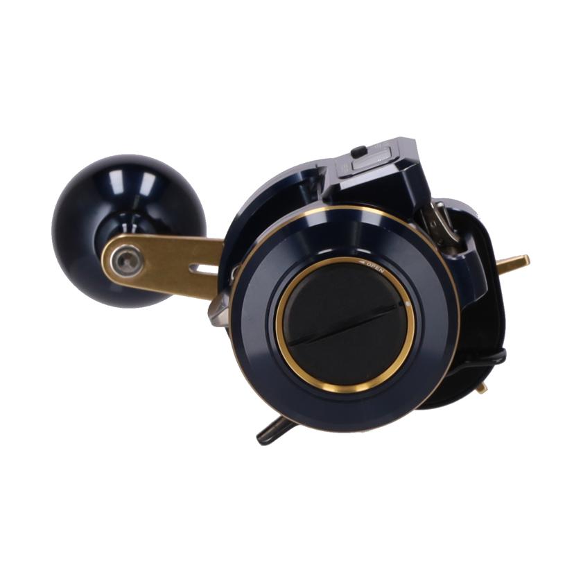ＤＡＩＷＡ ダイワ/ＤＡＩＷＡ　２１ソルティガＩＣ１００Ｌ/IC100L//ABランク/75