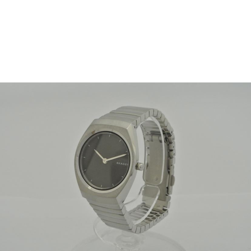 ＳＫＡＧＥＮ スカーゲン/レディースＱＺ／ＳＫＷ２６５３/SKW2653//111707/ABランク/87
