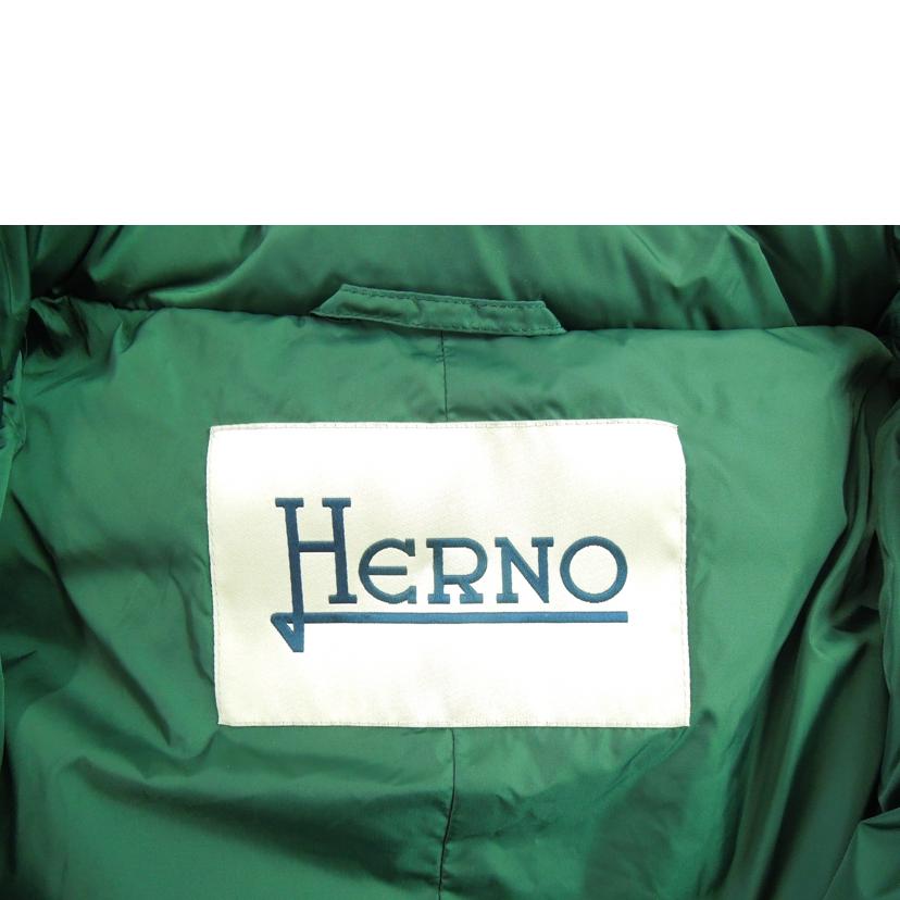 ＨＥＲＮＯ/ＨＥＲＮＯ　　ロングダウンコート　ファー付フード取り外し可能　　グリーン　　サイズ４０/32174-30216-3//Aランク/83