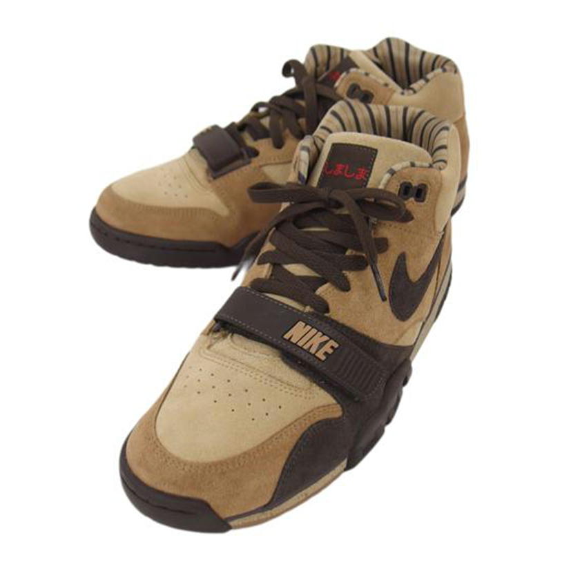 ＮＩＫＥ ナイキ/エアトレーナー／しましま／ハイカットスニーカー/DV6998-200//Aランク/04