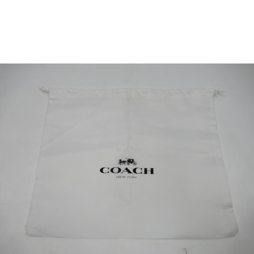 　　ＣＯＡＣＨ/ショルダーバッグ／レザー/3041//C20**/Aランク/63
