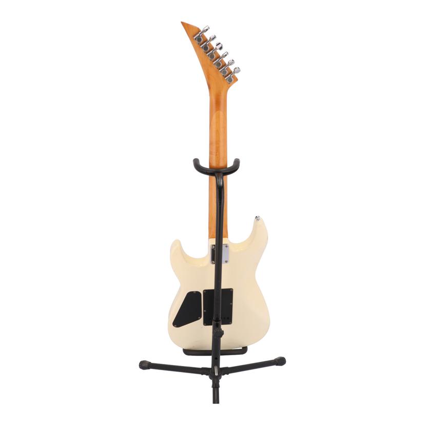 FERNANDES フェルナンデス　LIMITED Edition ケース付き フェルナンデス LIMITED EDITION FERNANDES フェルナンデス