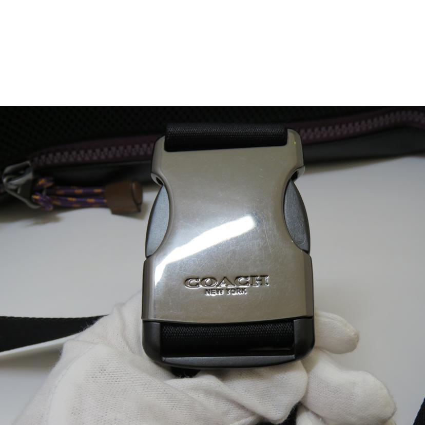 ＣＯＡＣＨ/シグネチャーダンボプリントウエストポーチ／ディズニーコラボ/89905//M1921/Aランク/90