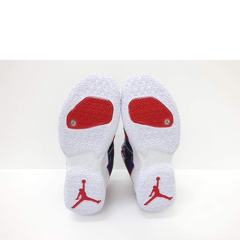 ＮＩＫＥ ナイキ/ジョーダン　ワイノットゼロ４／２９．０ｃｍ/DD4886-400//Aランク/88