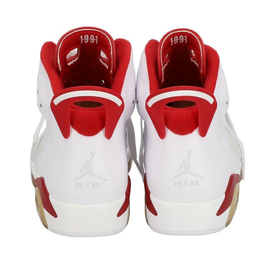 ＮＩＫＥ ナイキ/ＡＩＲＪＯＲＤＡＮ６　ＲＥＴＲＯ/384664-113//SAランク/09