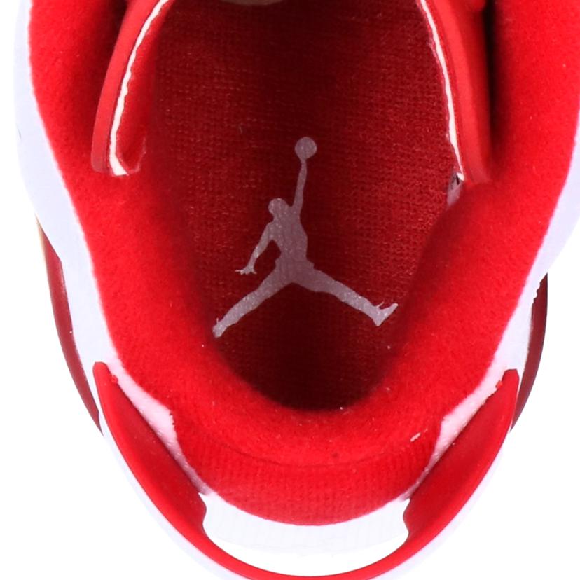 ＮＩＫＥ ナイキ/ＡＩＲＪＯＲＤＡＮ６　ＲＥＴＲＯ/384664-113//SAランク/09