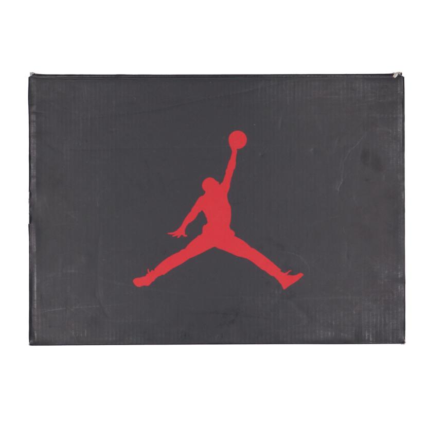 ＮＩＫＥ ナイキ/ＡＩＲＪＯＲＤＡＮ６　ＲＥＴＲＯ/384664-113//SAランク/09