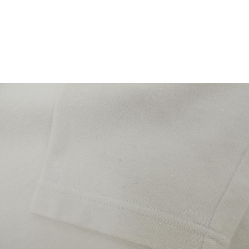 Ｌｏｕｉｓ　Ｖｕｉｔｔｏｎ ﾙｲｳﾞｨﾄﾝ/長袖カットソー/RM191 JYN HGY88W//Aランク/69