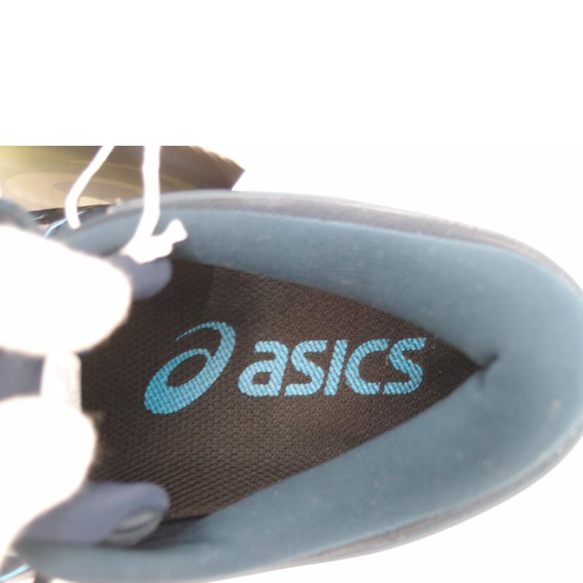 Ａｓｉｃｓ アシックス/ランニングシューズ/101B216//Sランク/69