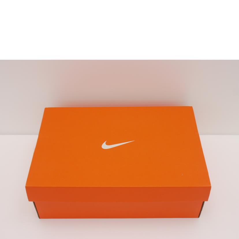 ＮＩＫＥ ナイキ/エア　ズーム　ペガサス３８　ＪＭ/DO7763-900//ABランク/75