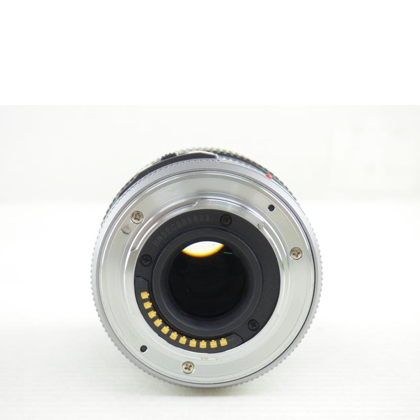 Ｐａｎａｓｏｎｉｃ パナソニック/カメラレンズＬＵＭＩＸ　Ｆ４‐５．６　４５－１７５㎜/H-PS45175//Bランク/64