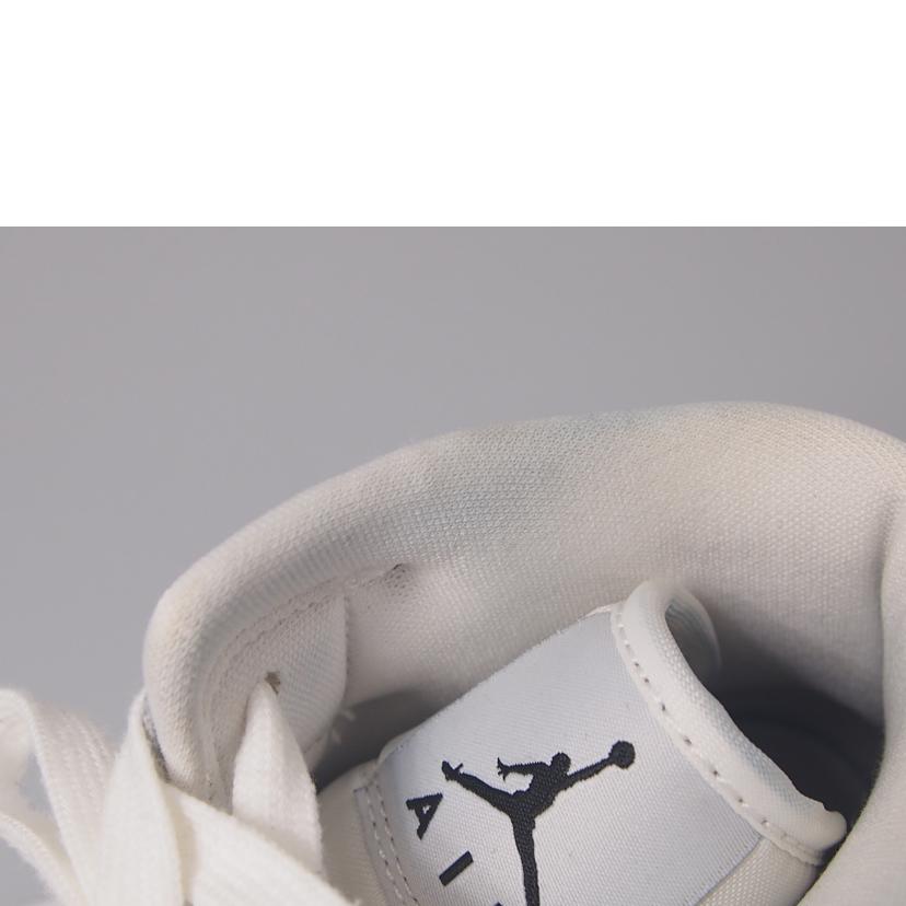 ＮＩＫＥ ナイキ/ＡＩＲ　ＪＯＲＤＡＮ　/BQ6472-110//ABランク/76