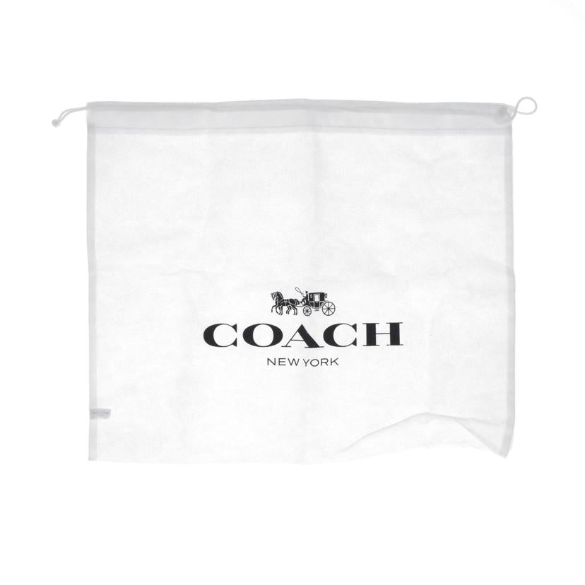 ＣＯＡＣＨ ｺｰﾁ/ラグジュアリーシグネチャー／斜め掛けショルダー/F58309//B18**/ABランク/75