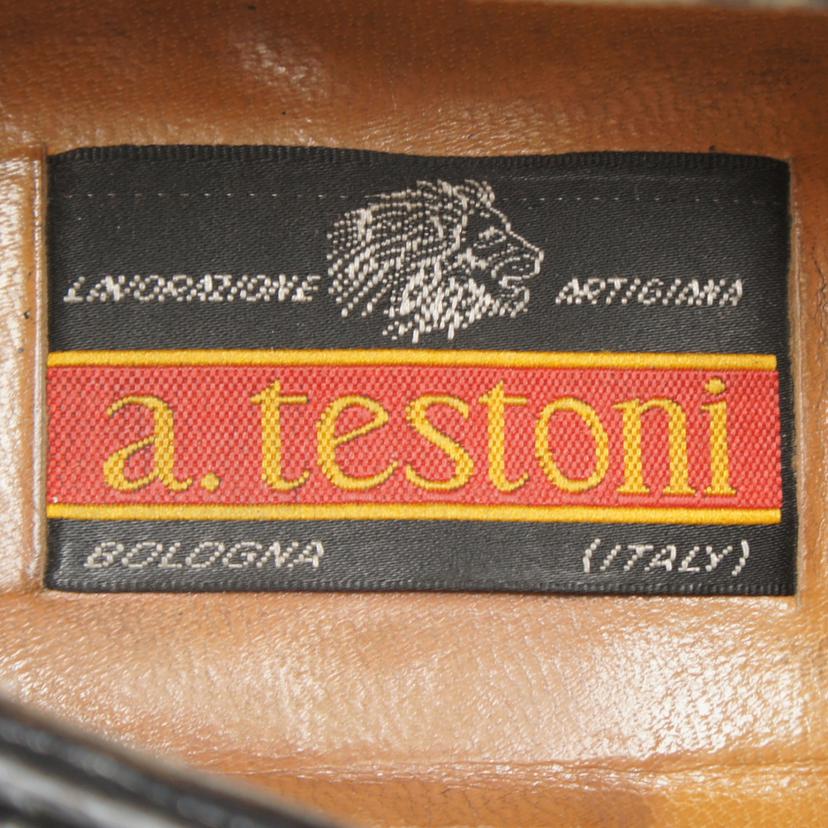 ａ．ｔｅｓｔｏｎｉ/ａ．ｔｅｓｔｏｎｉ　メッシュ黒//BCランク/75