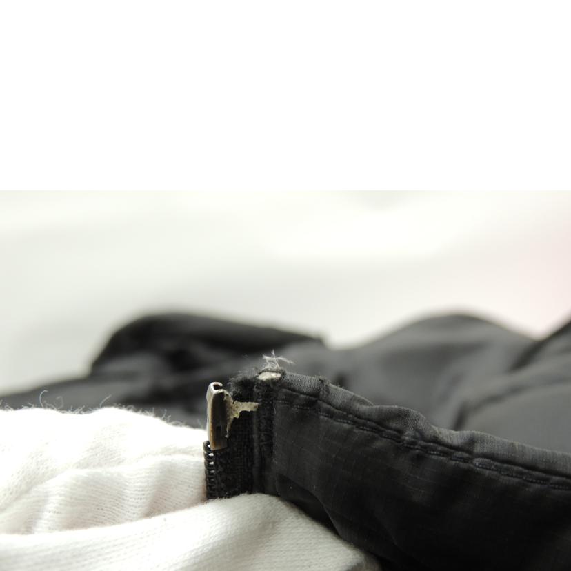 Ｐａｔａｇｏｎｉａ ﾊﾟﾀｺﾞﾆｱ/Ｐａｔａｇｏｎｉａ　ダウンジャケット//Aランク/69