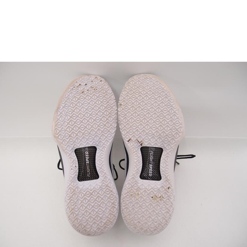 ＮＩＫＥ ﾅｲｷ/ＮＩＫＥ　ＡＩＲ　ＪＯＲＤＡＮ３２/AH3347-102//Aランク/69