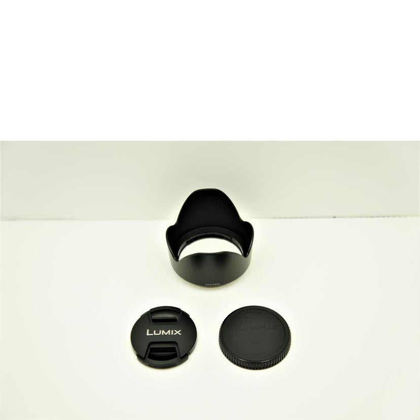 Ｐａｎａｓｏｎｉｃ/デジタル対応レンズ　／Ｇ　ＶＡＲＩＯ　１４－４２ｍｍ/ G VARIO 14-42mm//TA6GK005222/Aランク/75