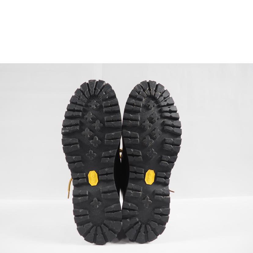 Ｄａｎｎｅｒ ダナー/ＭＯＵＮＴＡＩＮ　ＬＩＧＨＴ/30866//ABランク/79