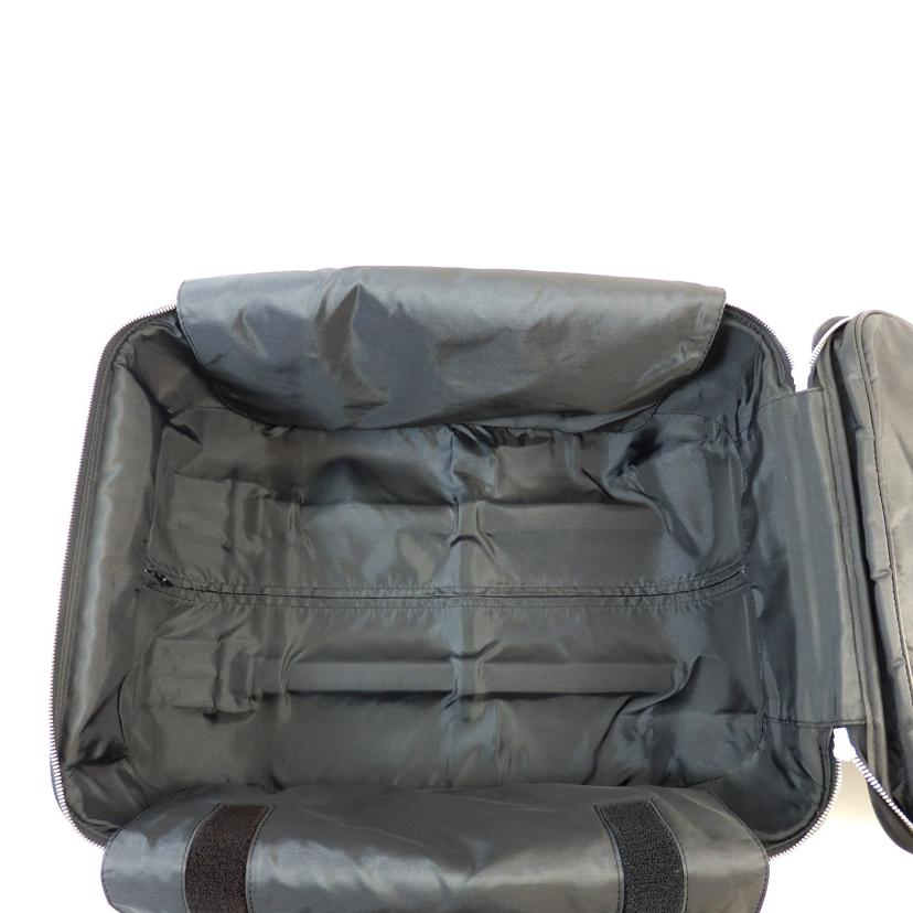 ルイヴィトン ペガス55 タイガ louis-vuitton-pegase--